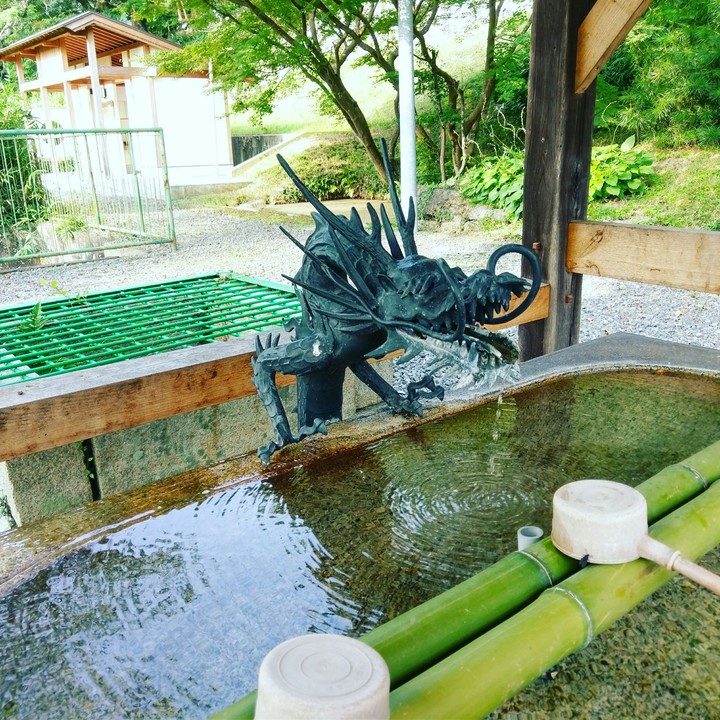 dragon