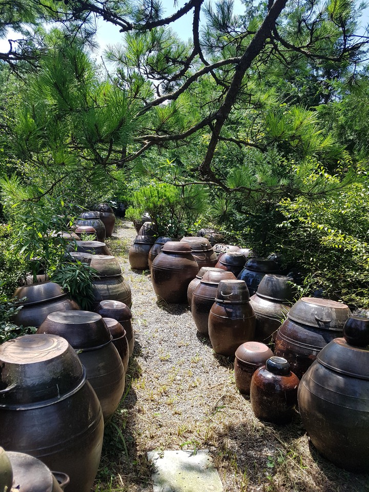 정겨움
