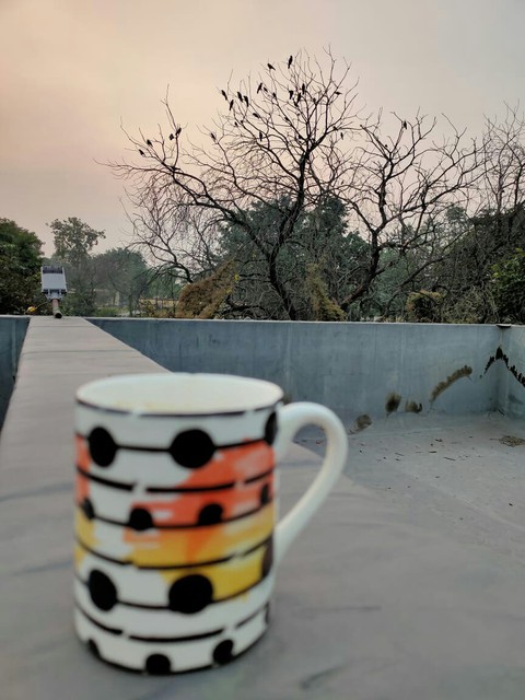 Mornings