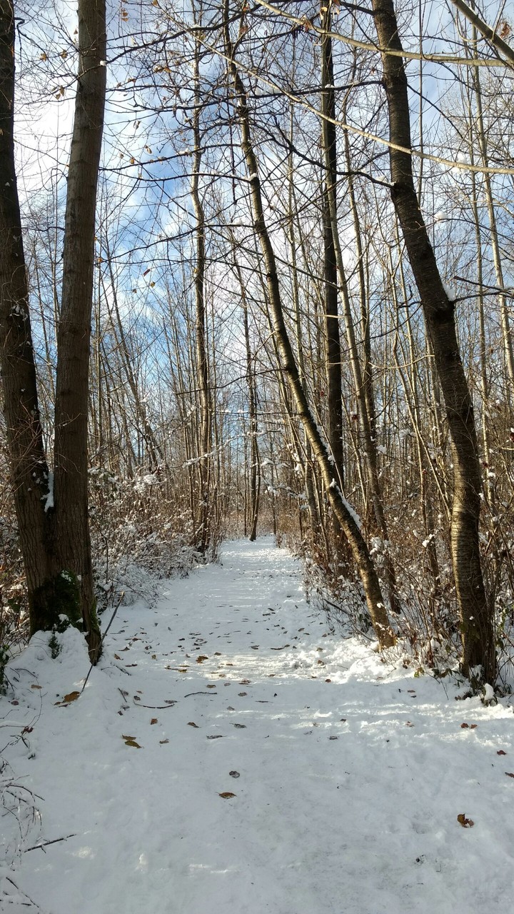 Snow