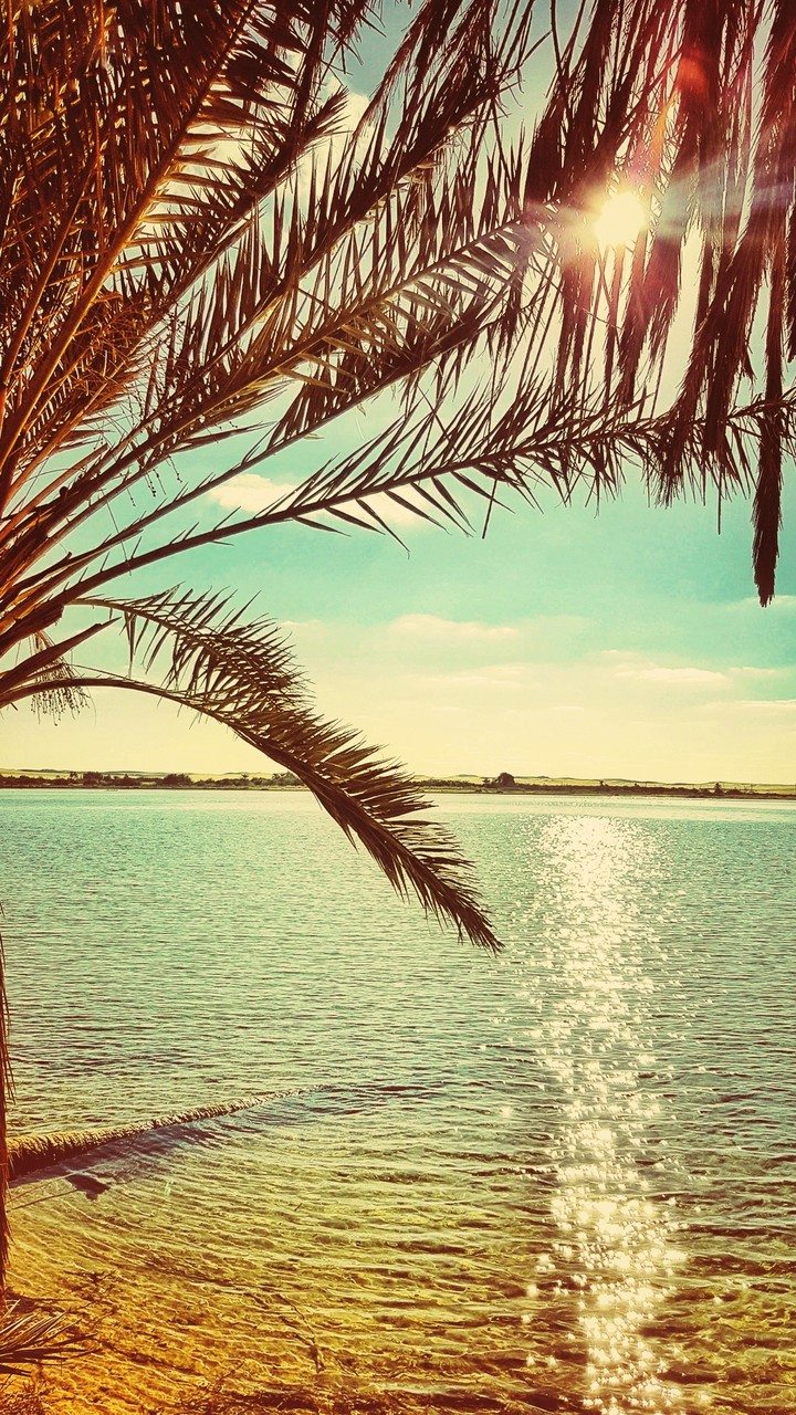 hawaj