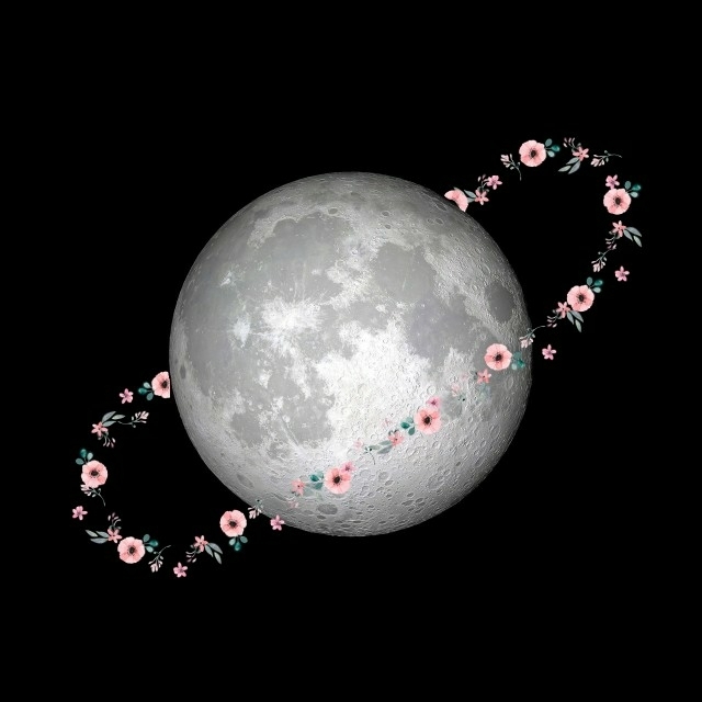 jupitmoon