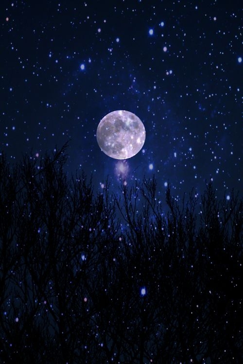 Starry Moon ❤