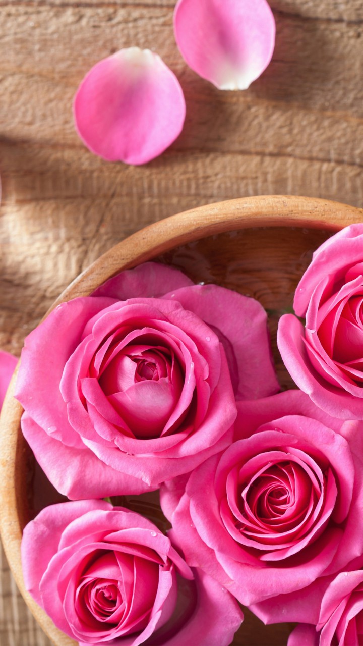 rosas
