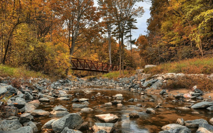 beauty nature
