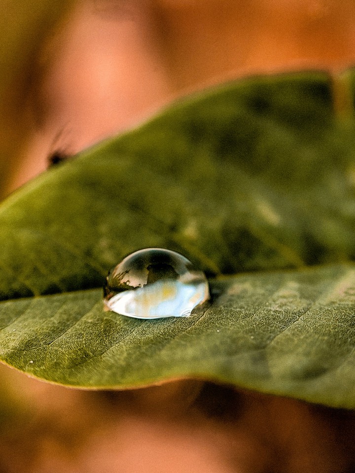 feel the nature