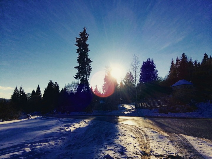 NATURE