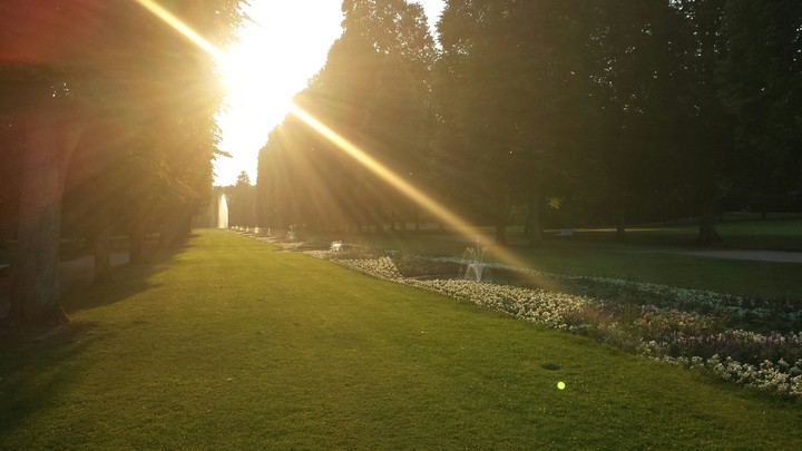 Sunshine