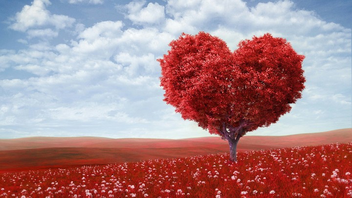 tree of love