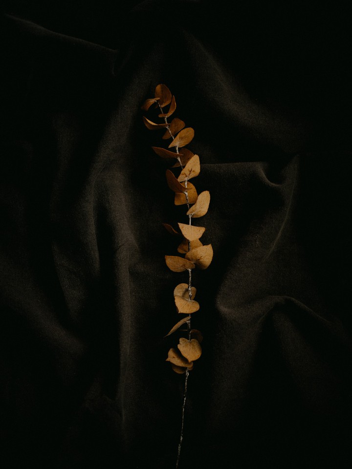 dark !