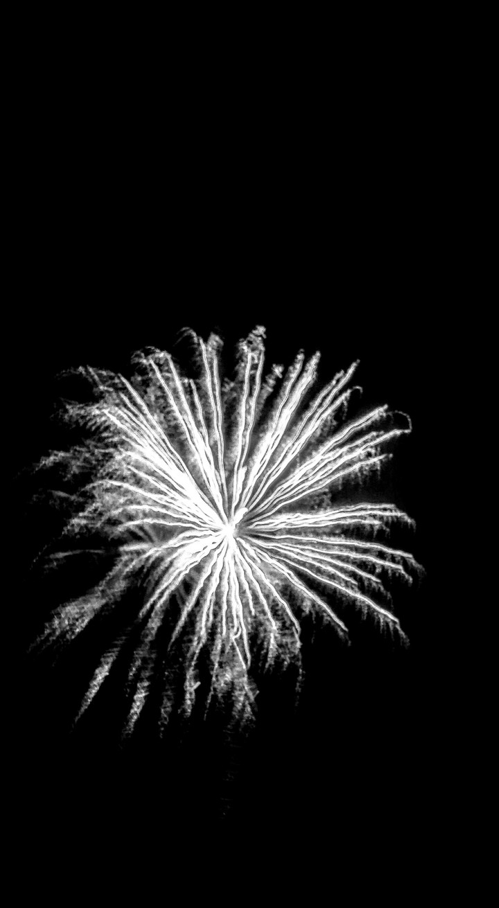 Black and White Firework
