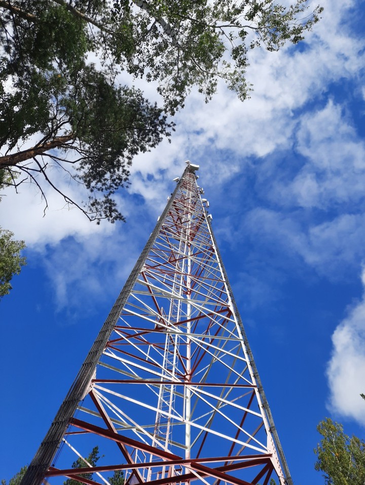Tower in the woods