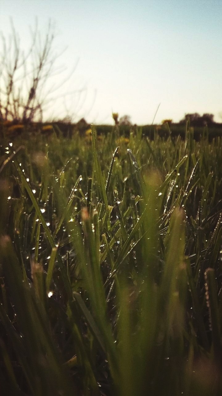 Nature