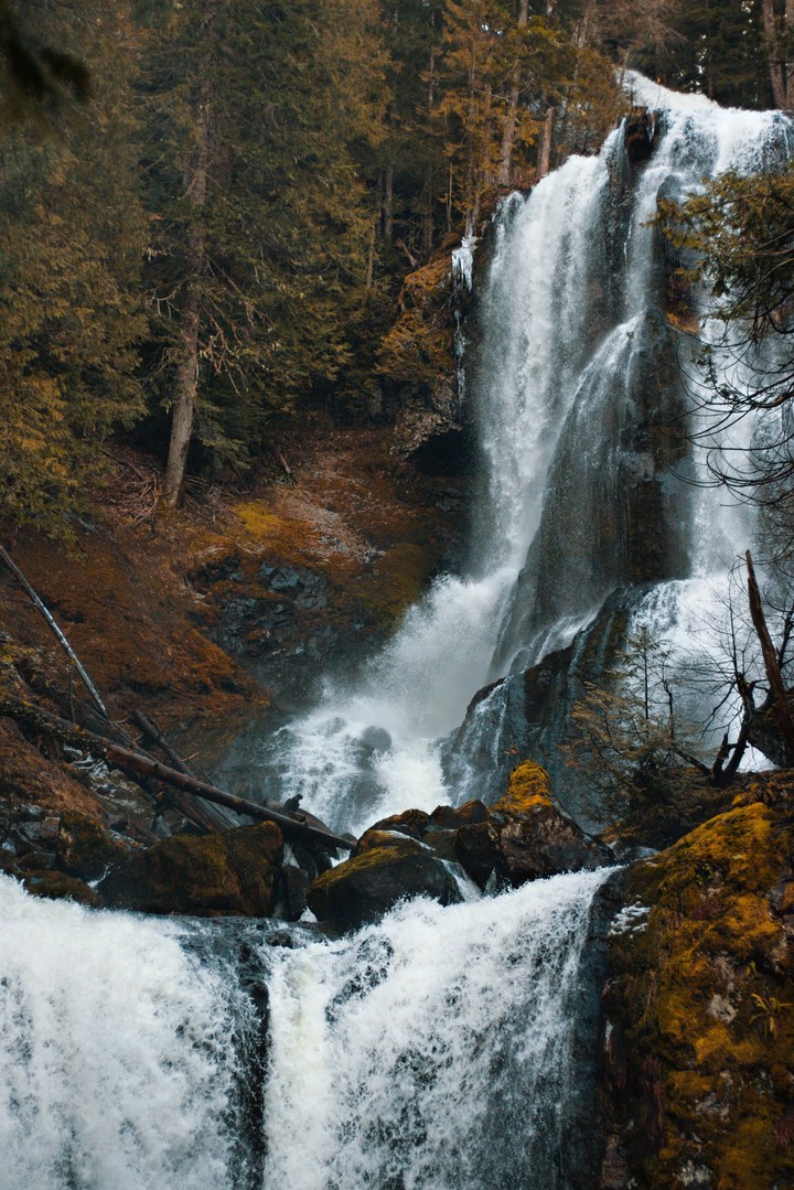 Nature