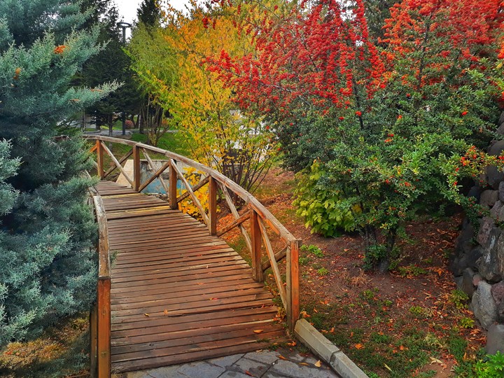 park'ta yürürken