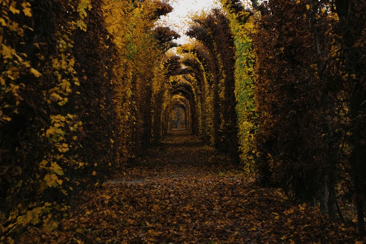 Autumn