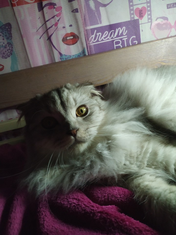 my love