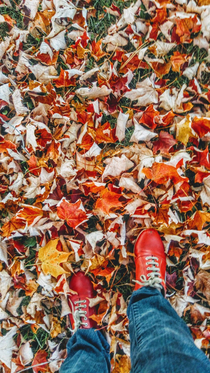 autumn