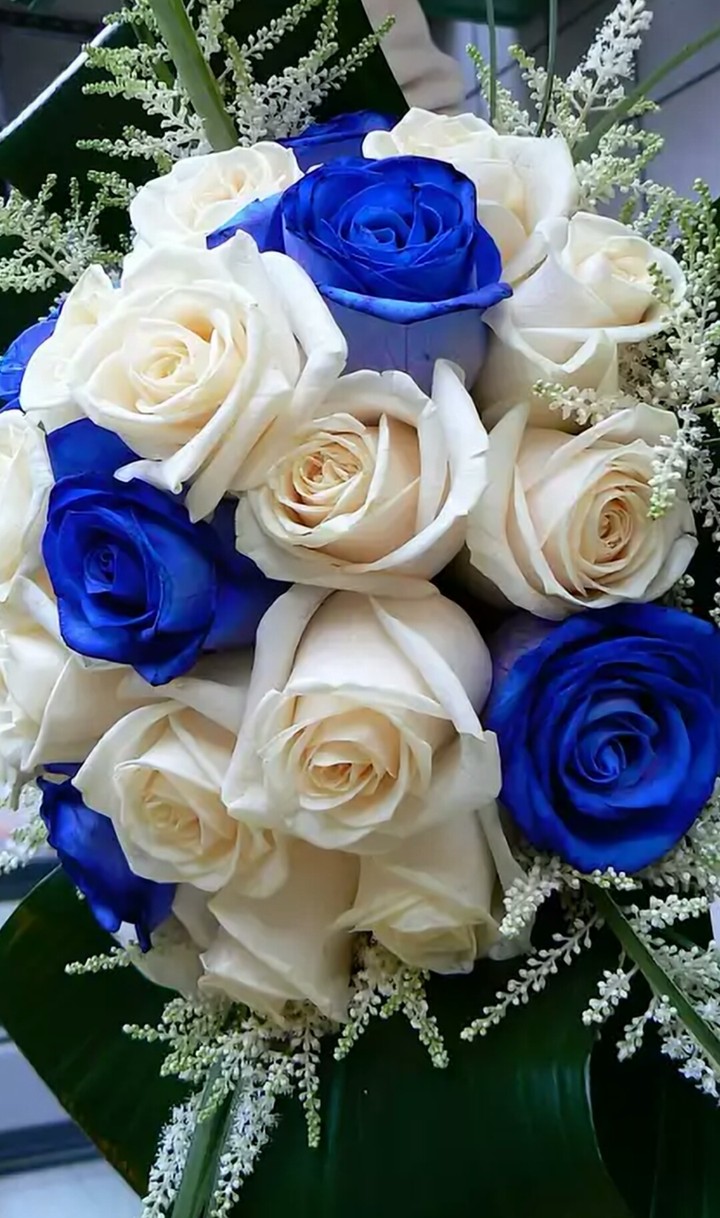 rose