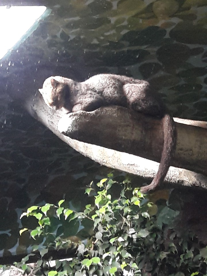 light bather