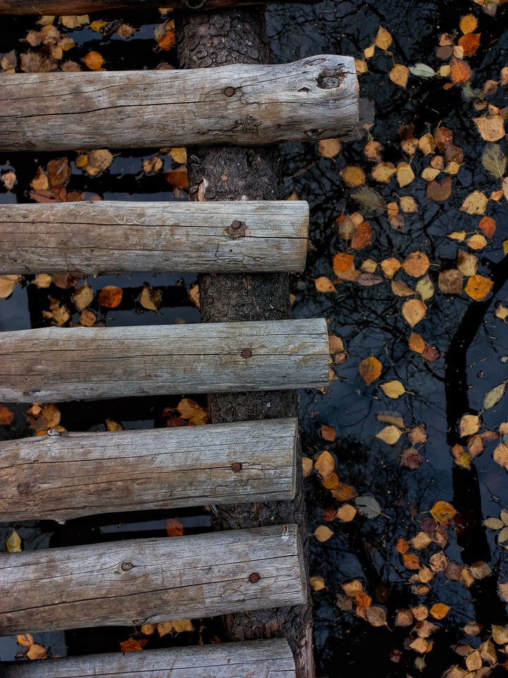 autumn ?