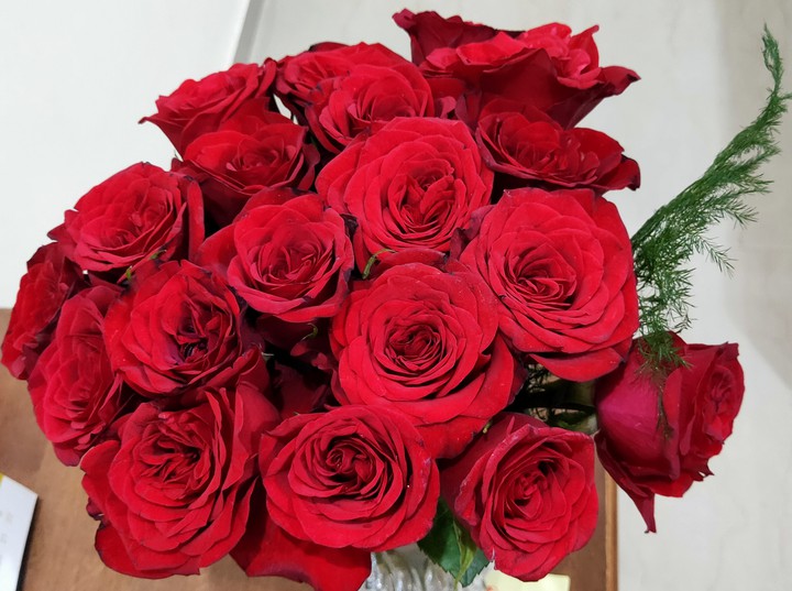 Happy Rose ❣️ Day