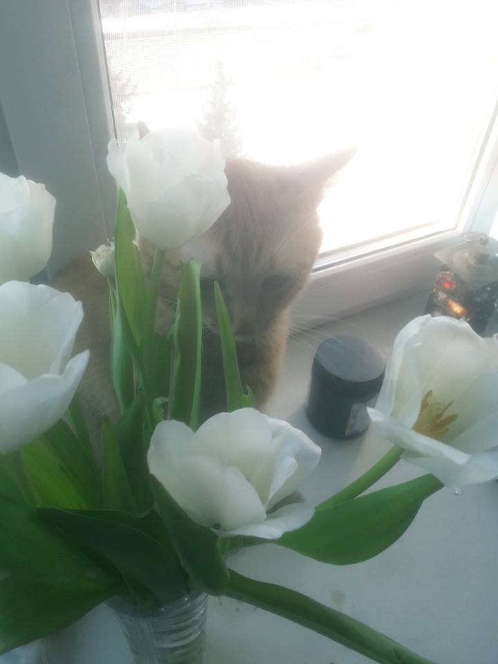 spring is here