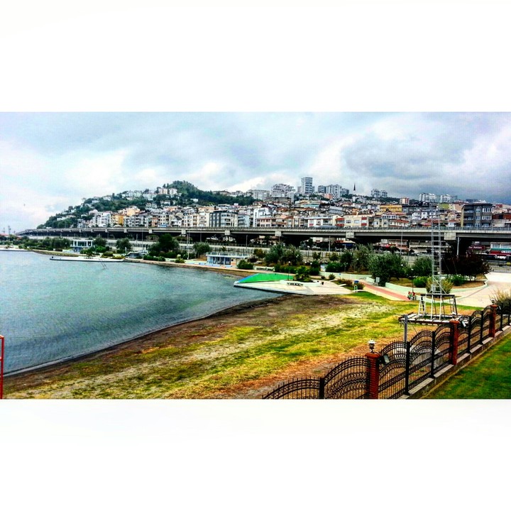 manzara