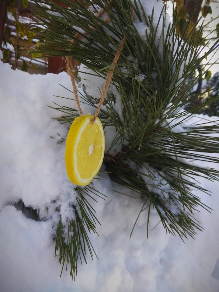 Fir decoration