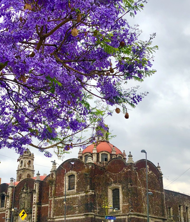 Centro Histórico CDMX
