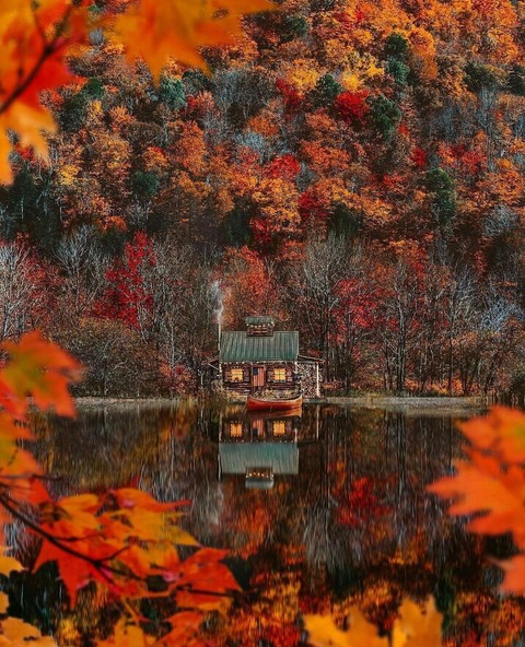 deciduous, bayou duvar kağıtları