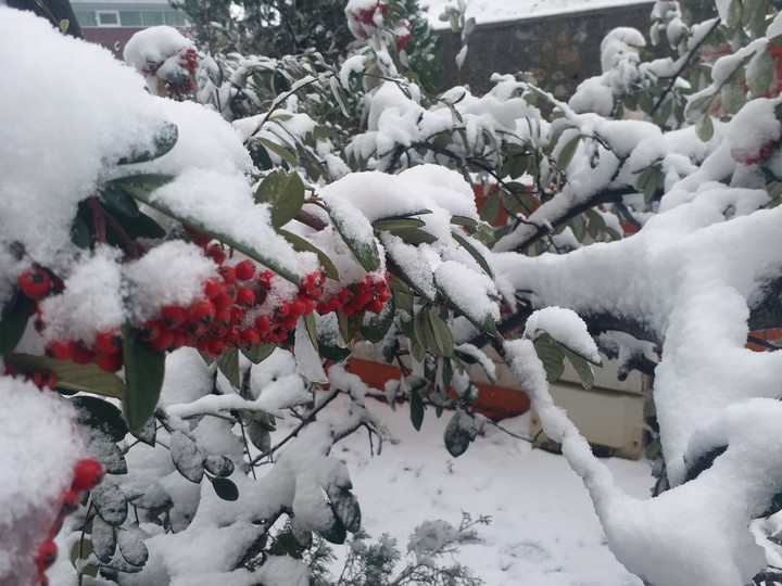 Snow