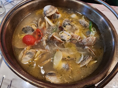 רקעים Fluid, bivalve