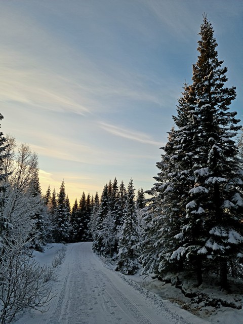 winterwonderland