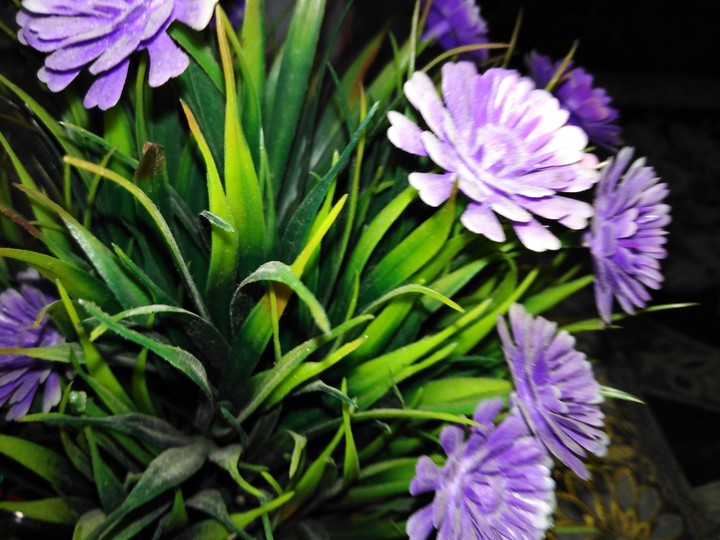 flower