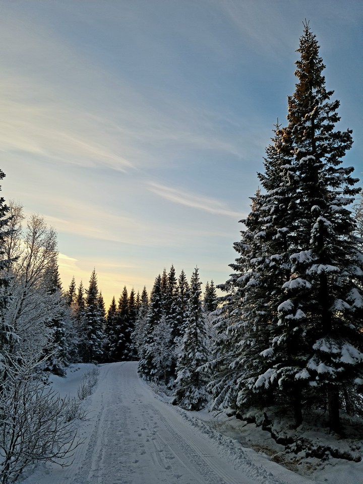 winterwonderland