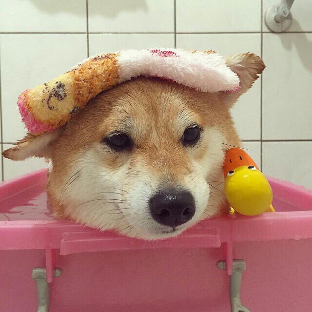 милашка