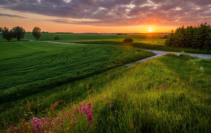 Amazing Nature on sunset