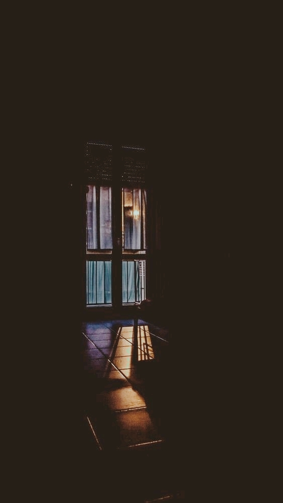 Window