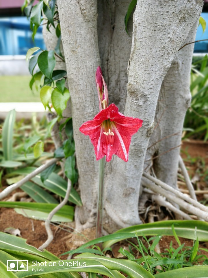 colours of life