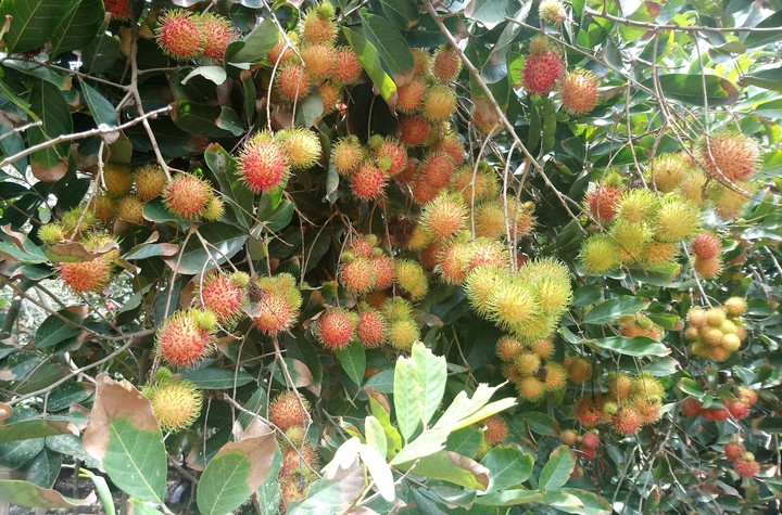 Chờ người nơi ấy