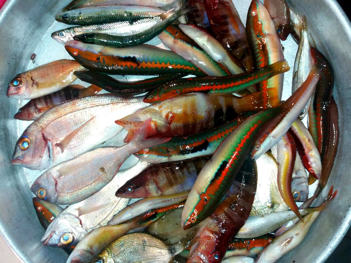 STAMATIOS