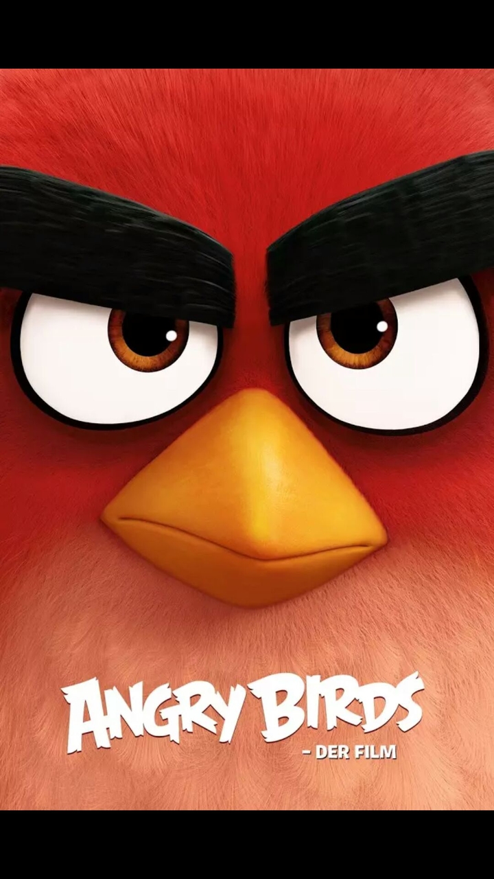 birds angry