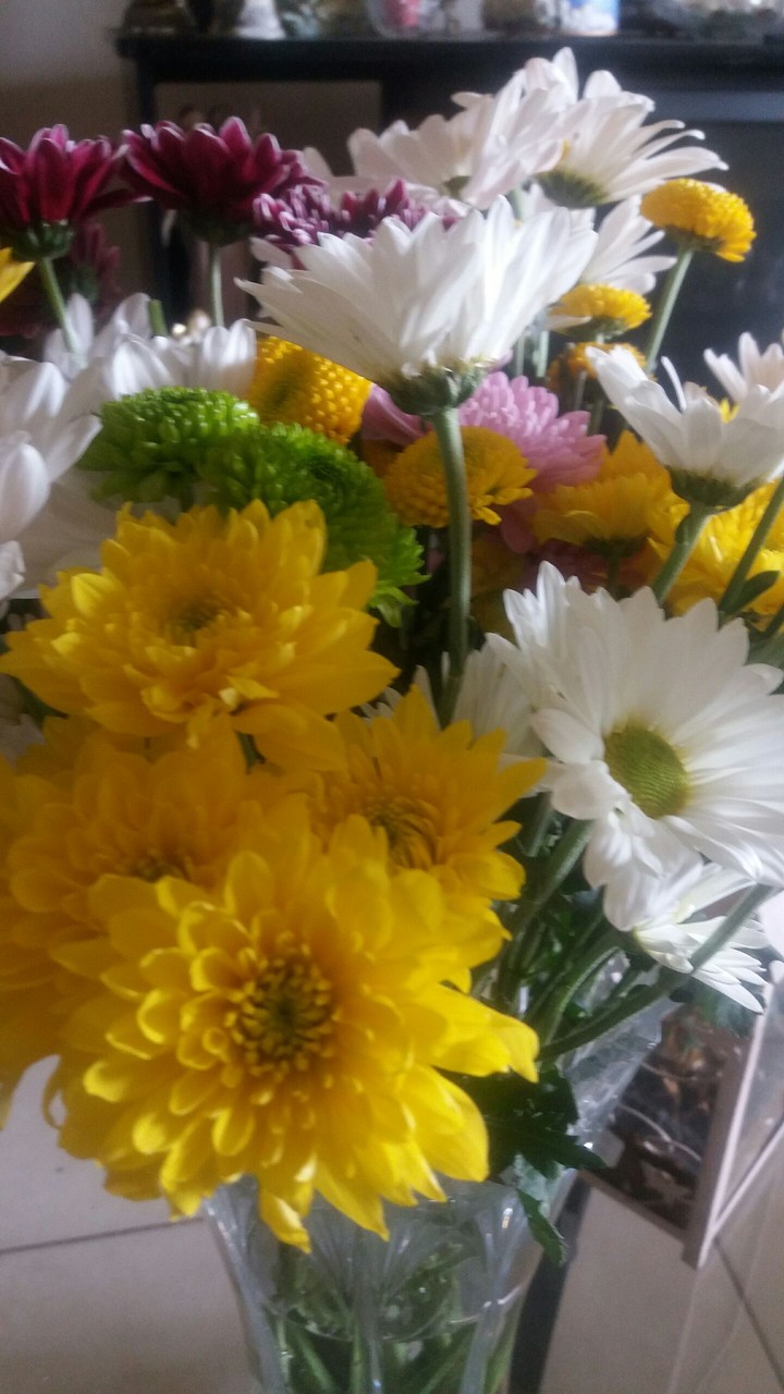 fresh flowers