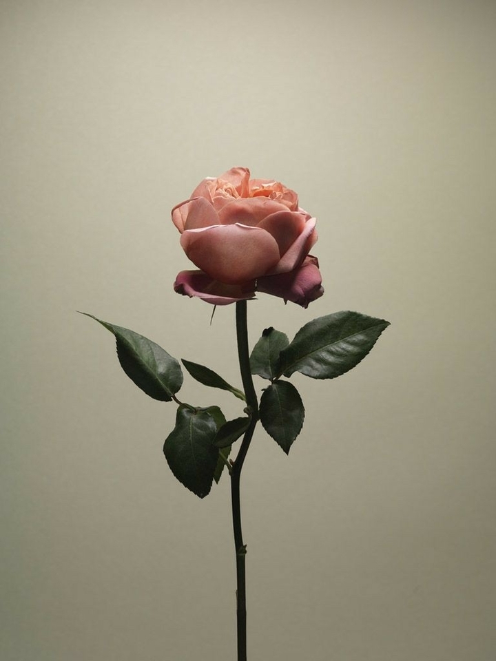 ♡