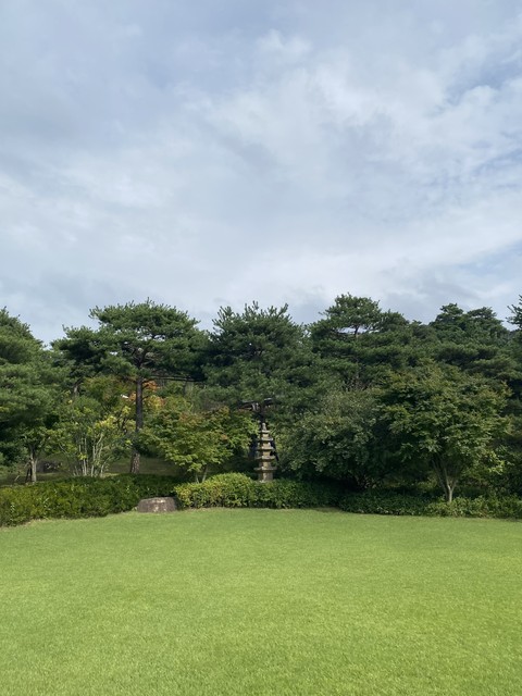 hình nền plant, landscapes