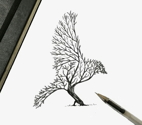 רקעים plant, beak