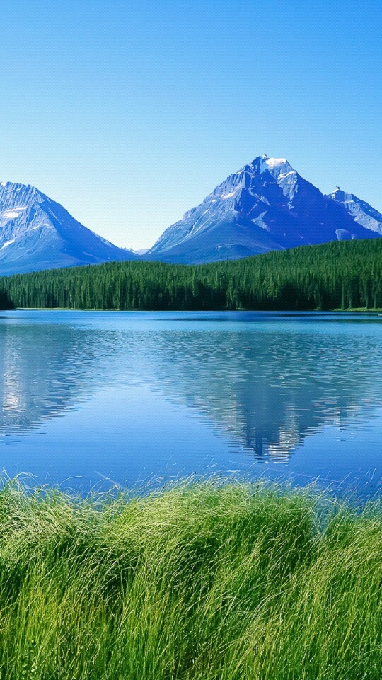 Berge