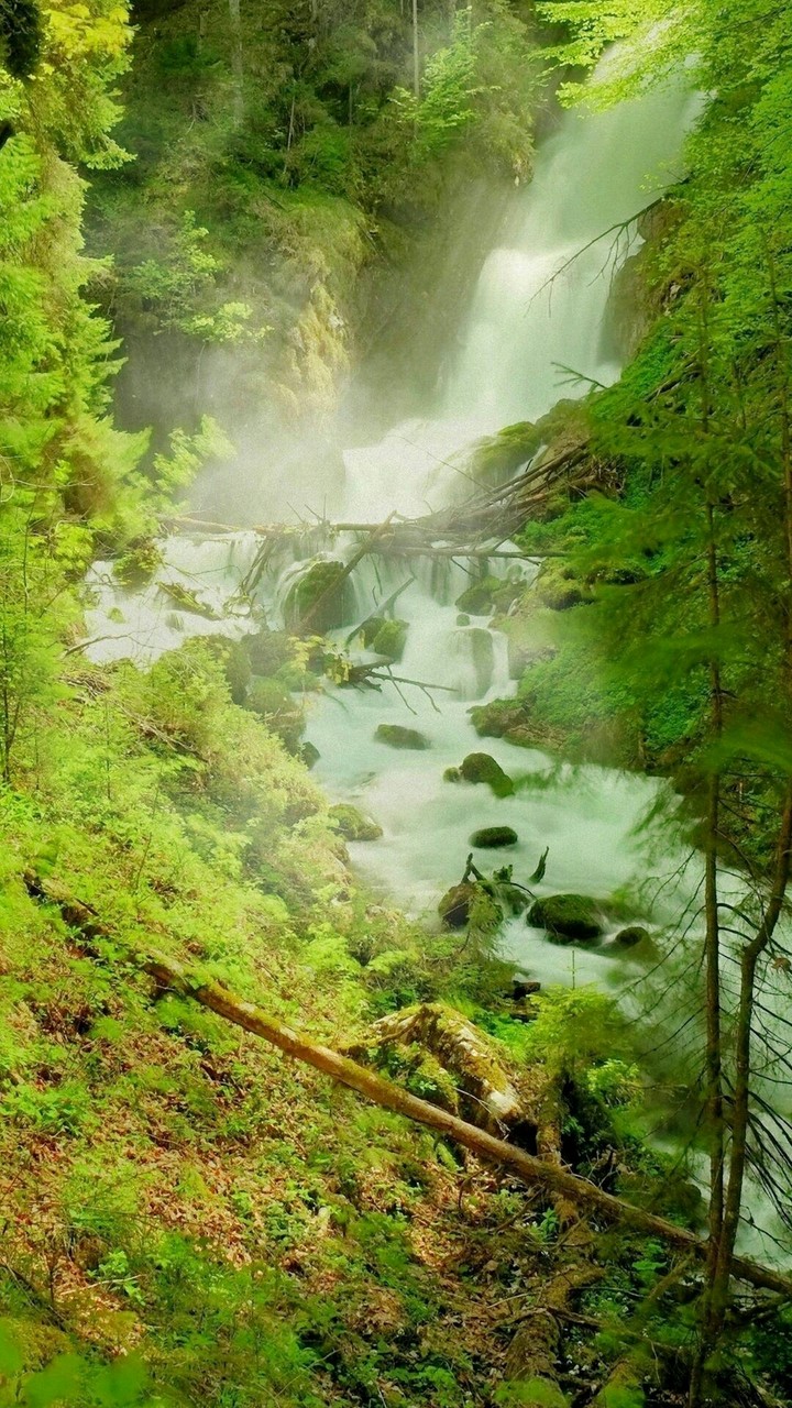 Nature