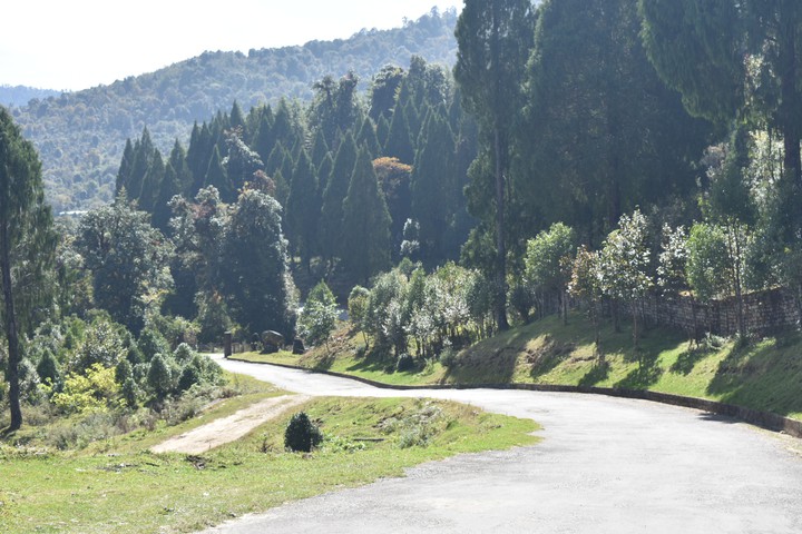 Bhutan landscape